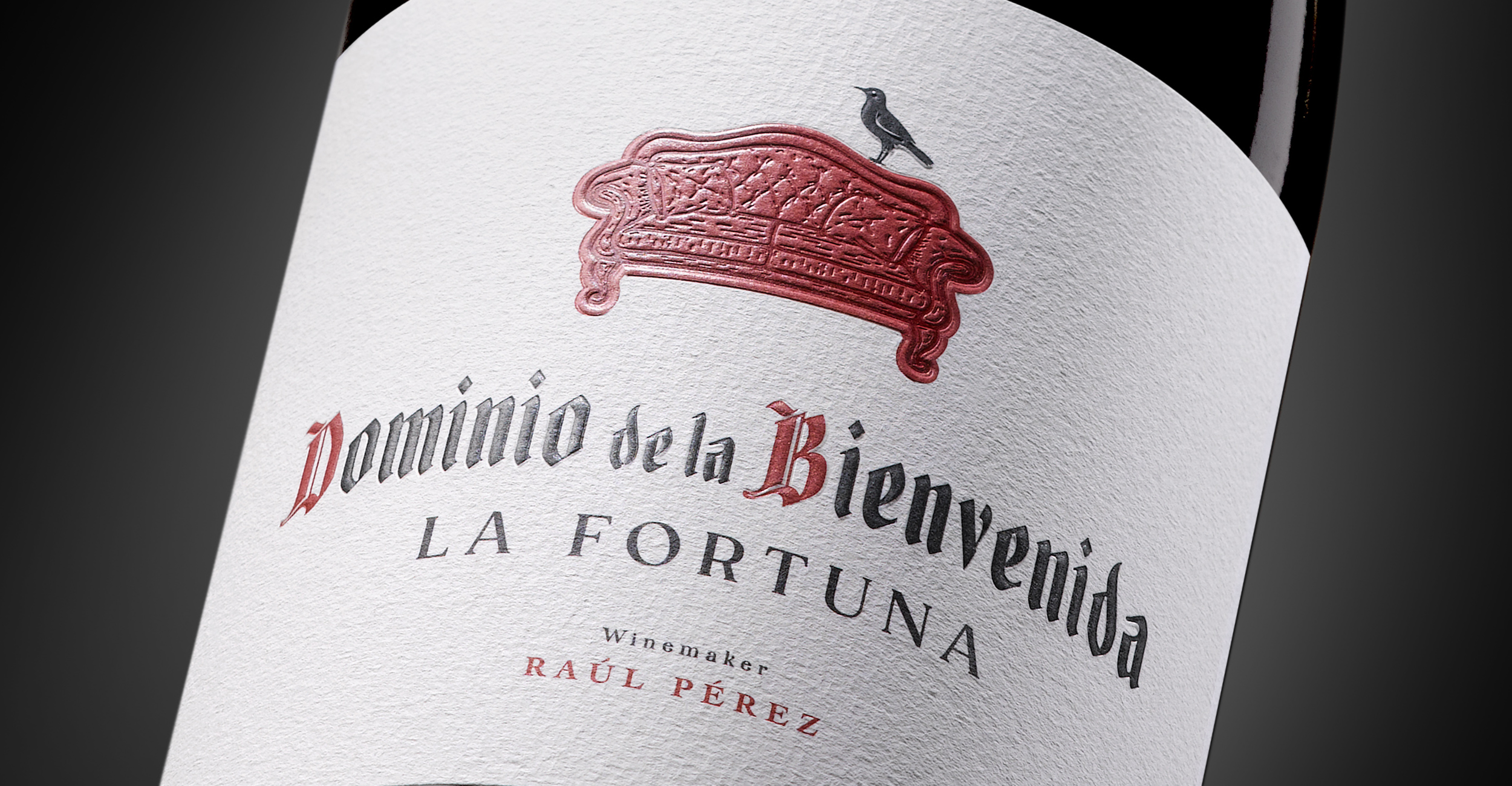 Dominio de la Bienvenida La Fortuna