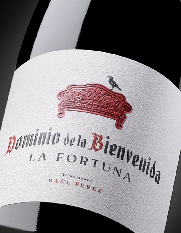 Dominio de la Bienvenida La Fortuna