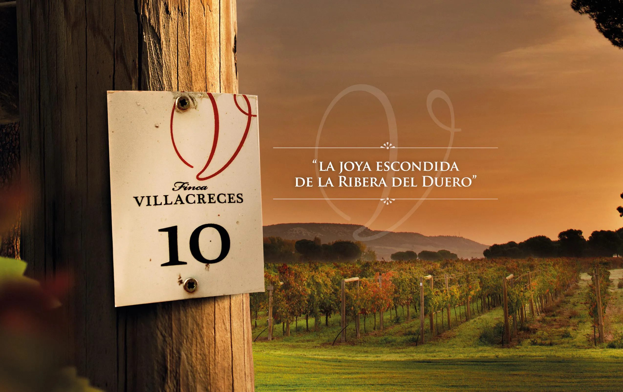 Campaña Villacreces