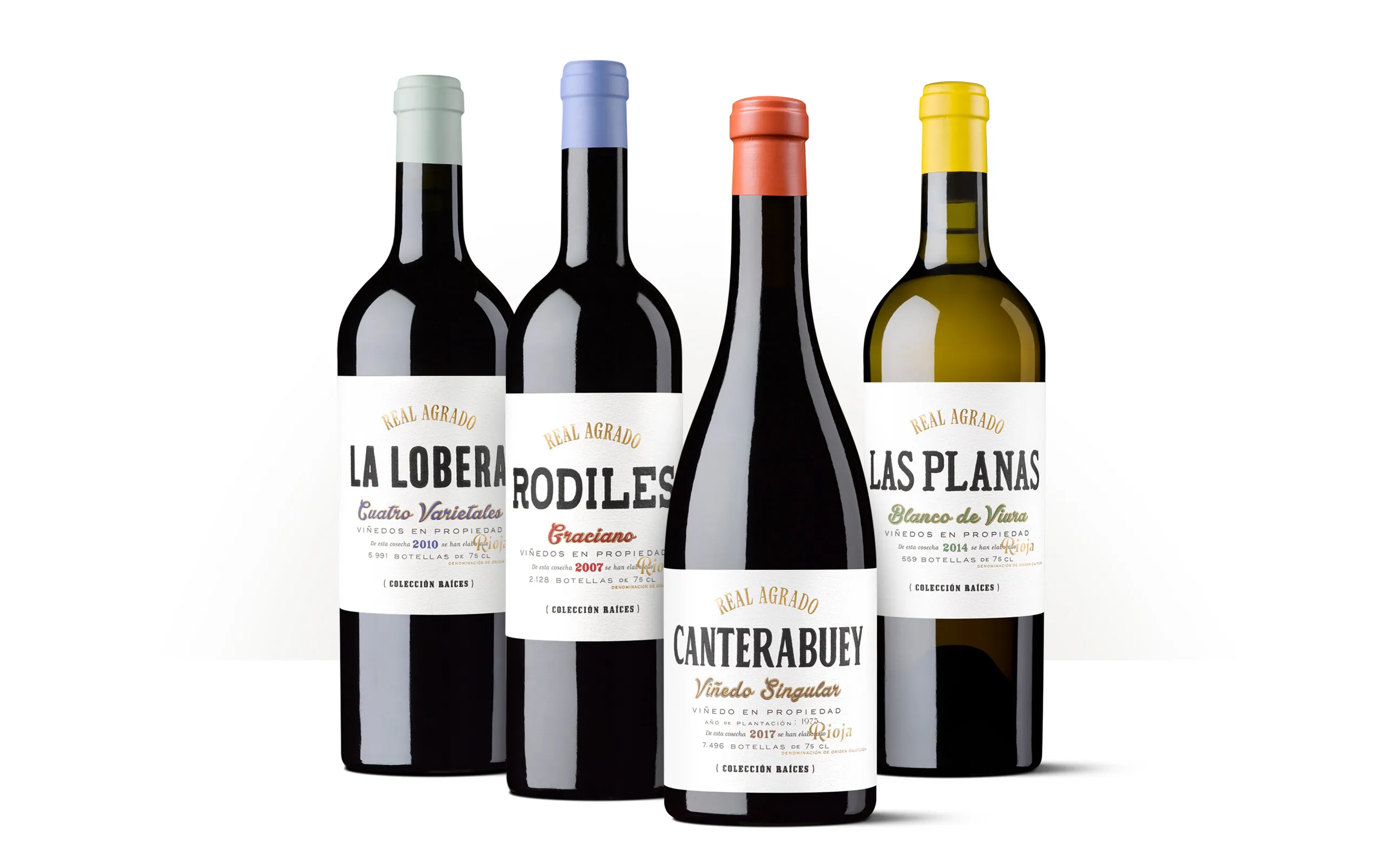 Silueta de una botella de Colección Raíces.