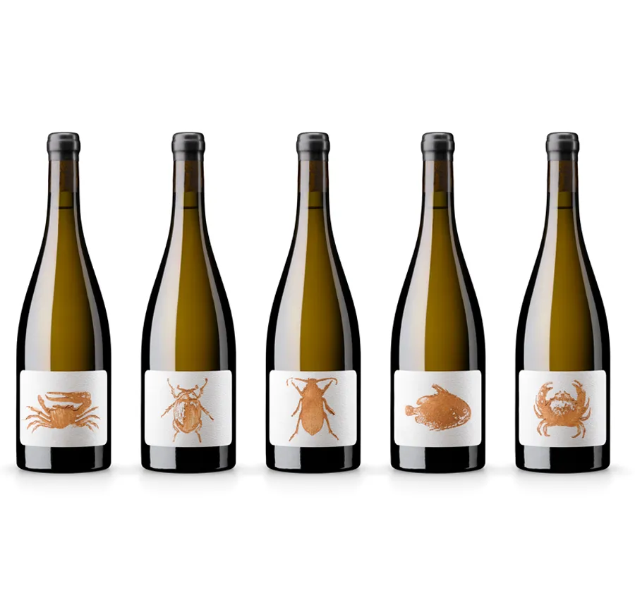 Siluetas de cinco botellas de la familia Efímero, con etiquetas de barro distintas impresas a mano.
