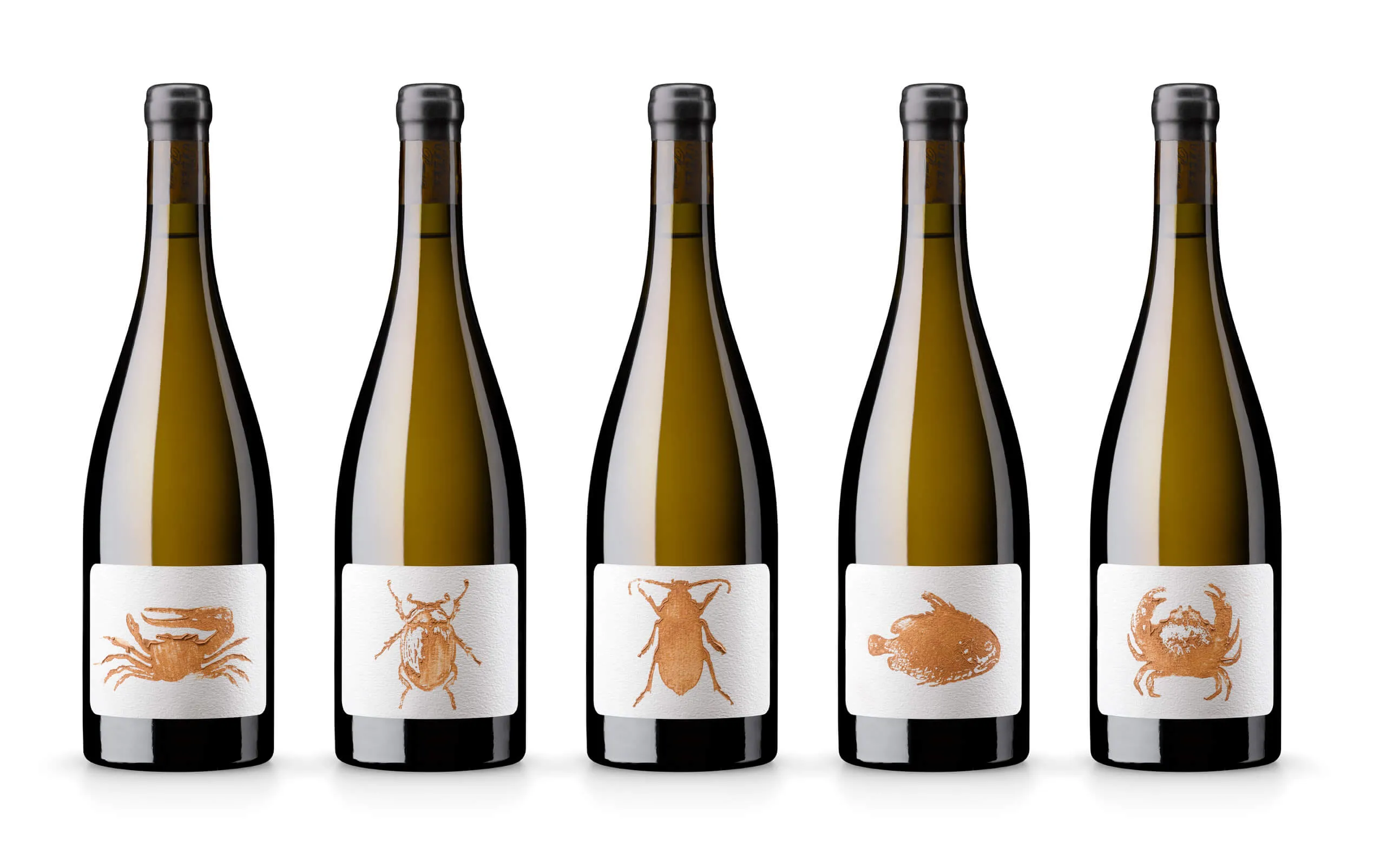 Siluetas de cinco botellas de la familia Efímero, con etiquetas de barro distintas impresas a mano.