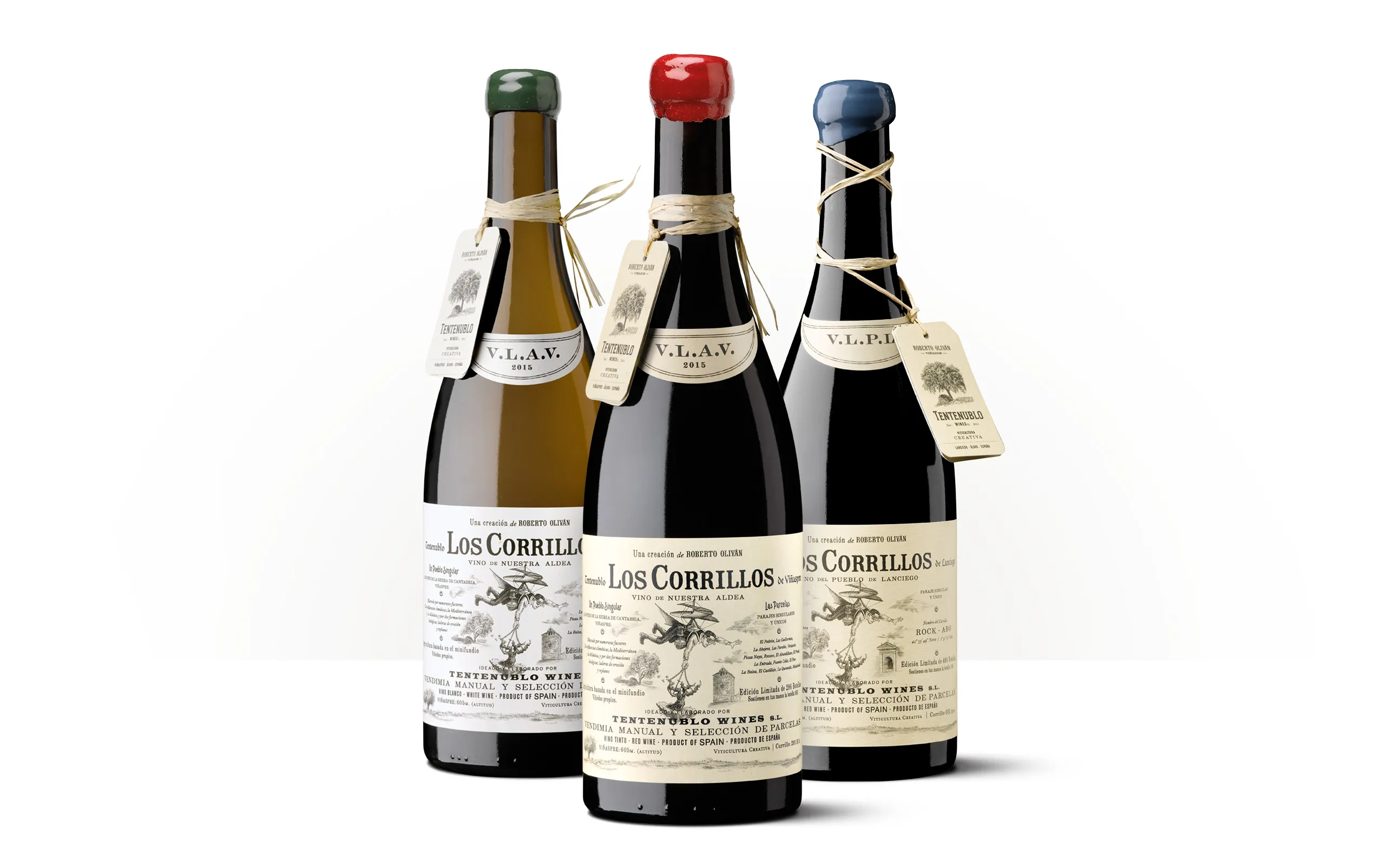 Silueta de una botella de Los Corrillos, vino de Tentenublo Wines elaborado por Roberto Oliván.