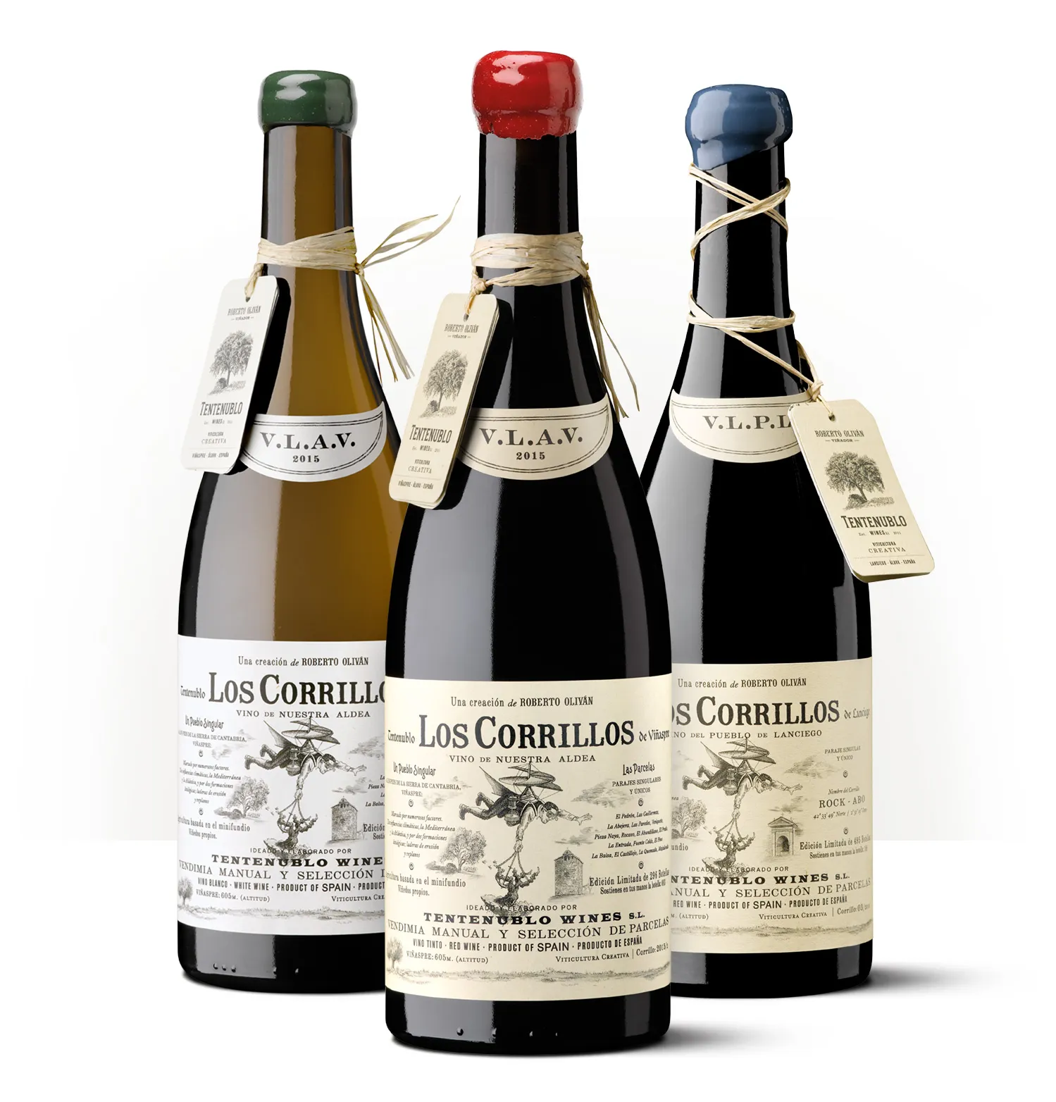 Silueta de una botella de Los Corrillos, vino de Tentenublo Wines elaborado por Roberto Oliván.