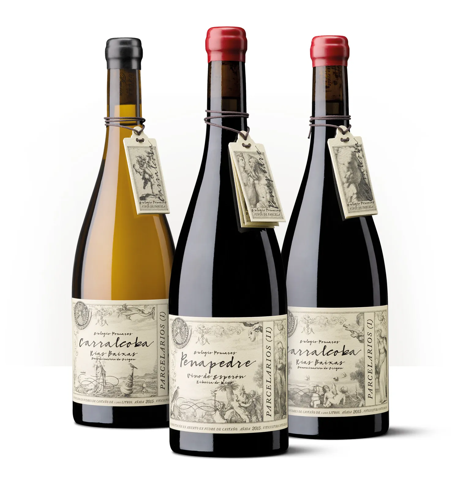 Silueta de una botella de Penapedre, vino parcelario de Eulogio Pomares procedente de Ribera do Miño.
