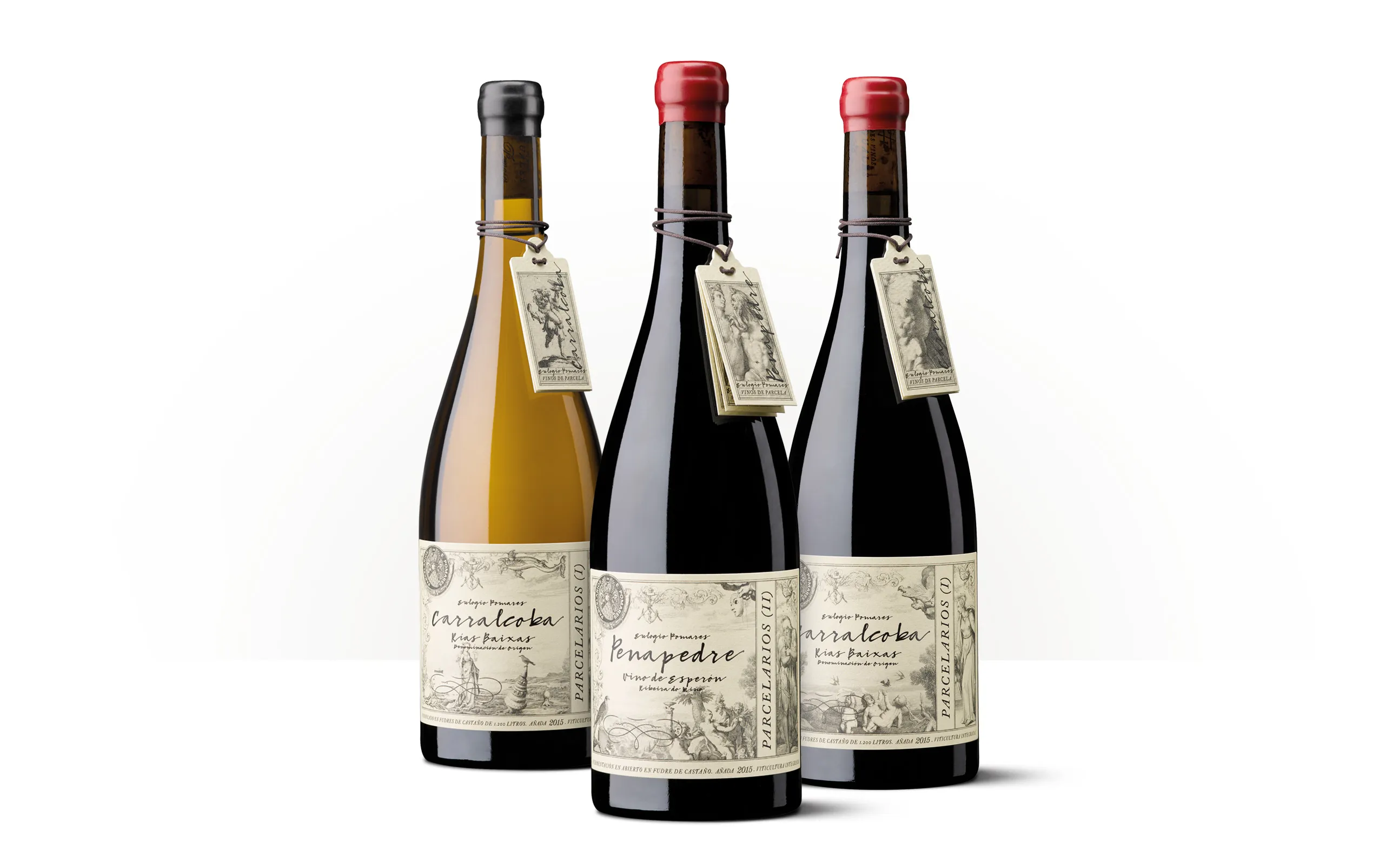 Silueta de una botella de Penapedre, vino parcelario de Eulogio Pomares procedente de Ribera do Miño.