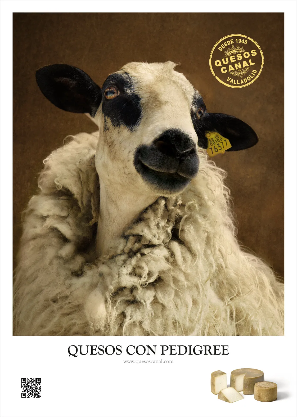 Campaña Quesos Canal