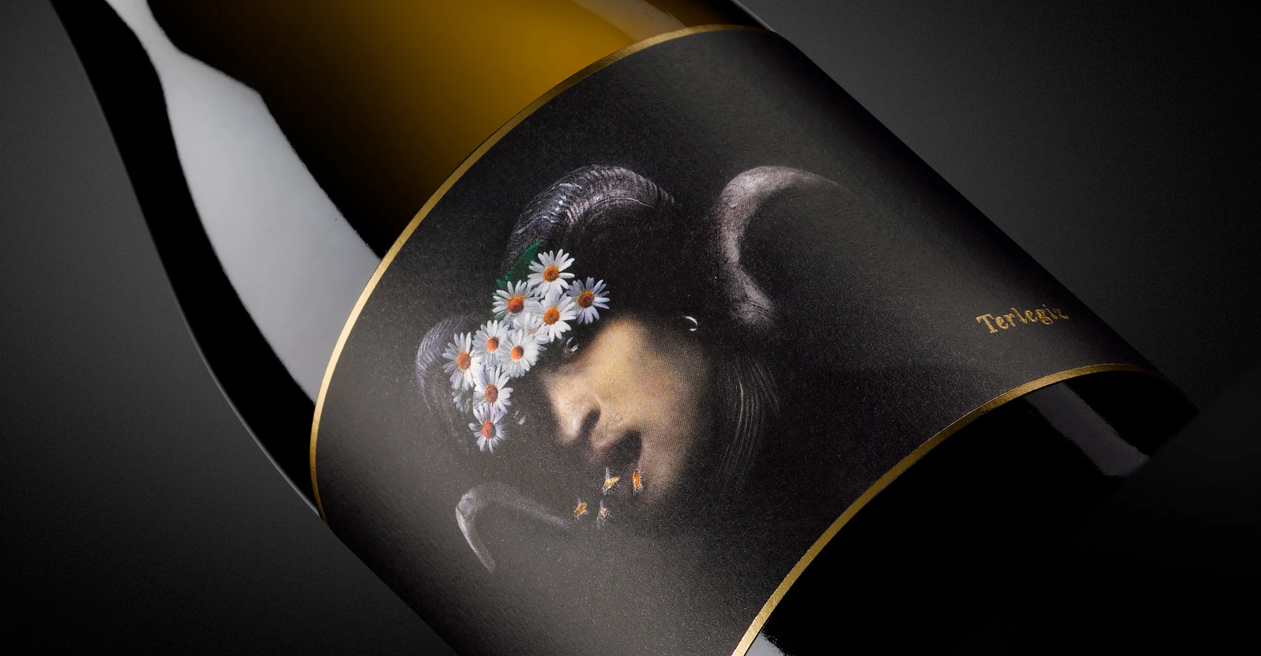 Detalle del diseño de packaging de Terlegiz.