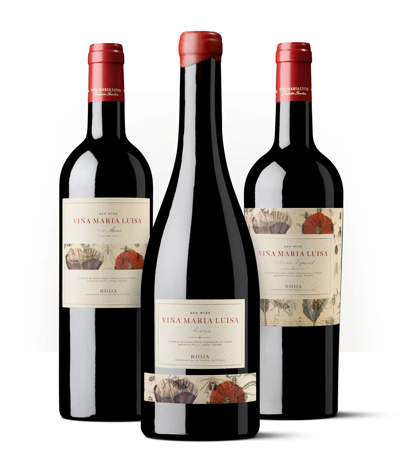 Siluetas de botellas de Viña María Luisa, una familia de vinos inspirada en la historia de María Luisa de Orleans y Carlos II.