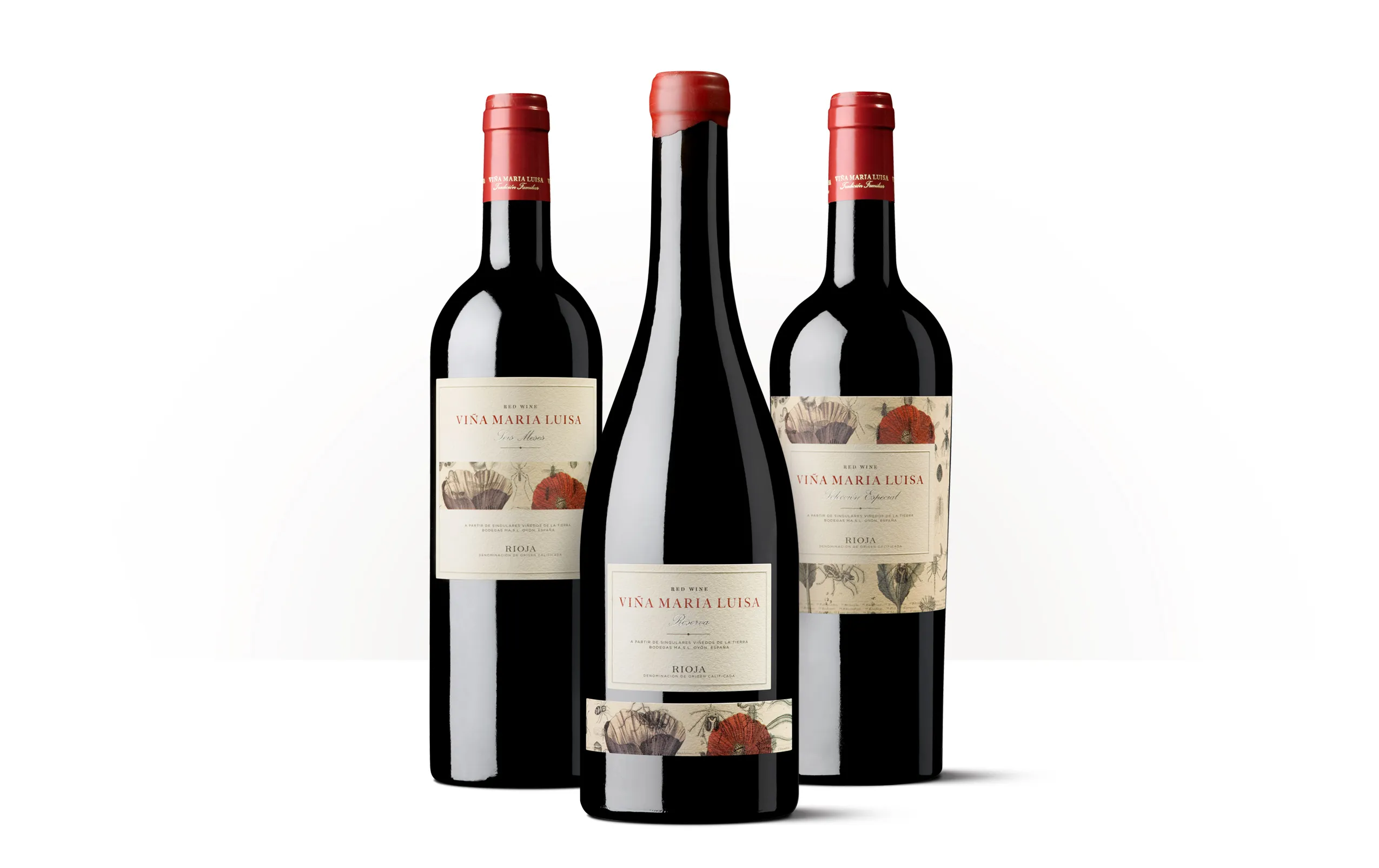 Siluetas de botellas de Viña María Luisa, una familia de vinos inspirada en la historia de María Luisa de Orleans y Carlos II.