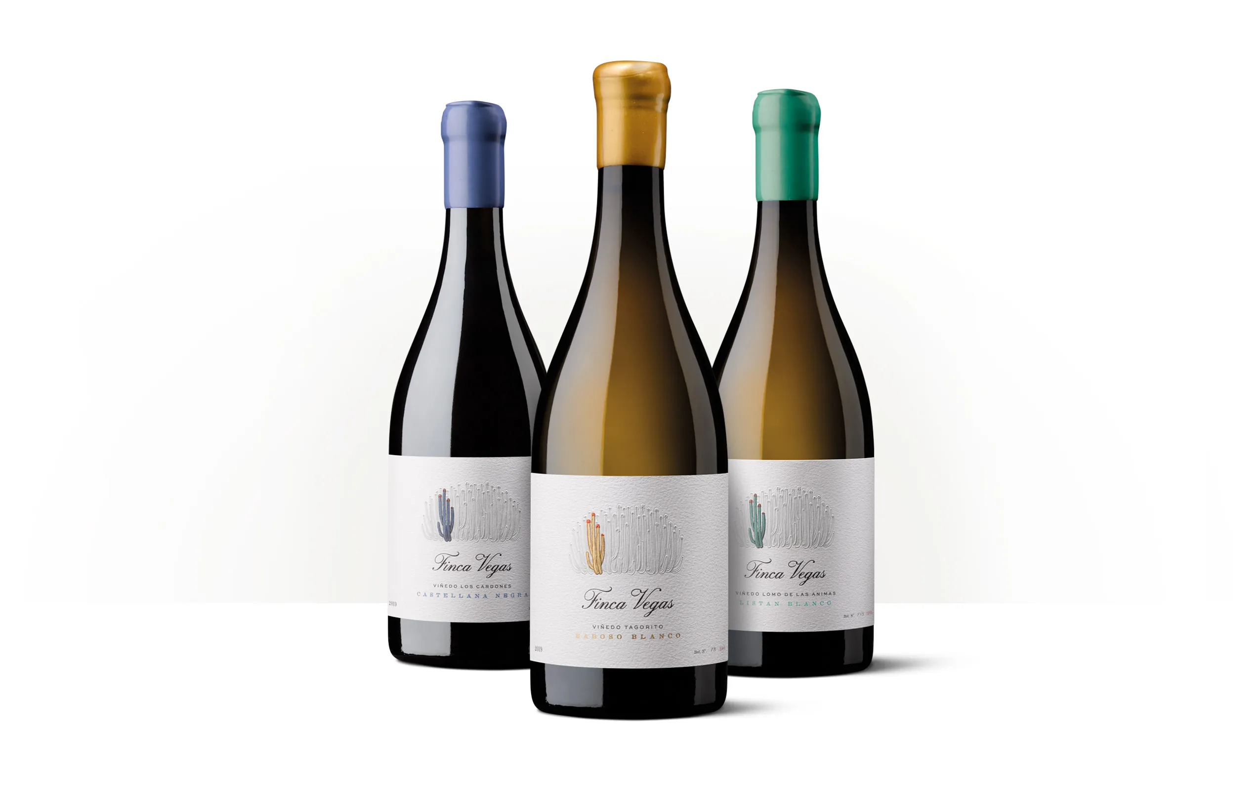 Siluetas de tres botellas de Finca Vegas de Tenerife, con etiquetas inspiradas en la flora y los paisajes volcánicos de la isla.