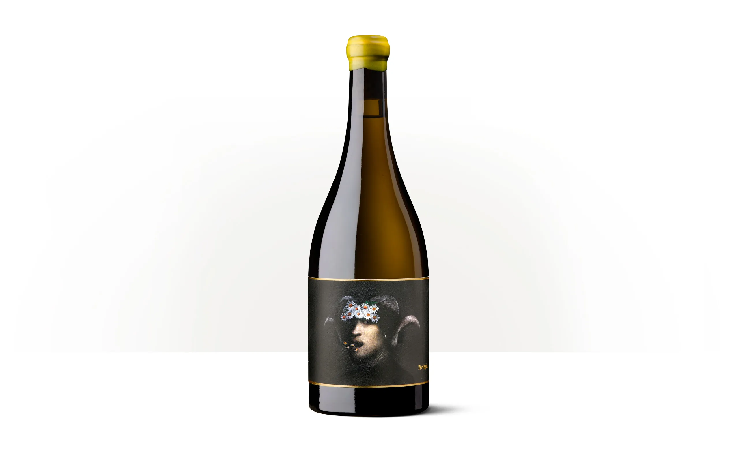 Silueta de una botella de Terlegiz de Oxer Wines, con etiqueta negra y una ilustración en tonos claros.